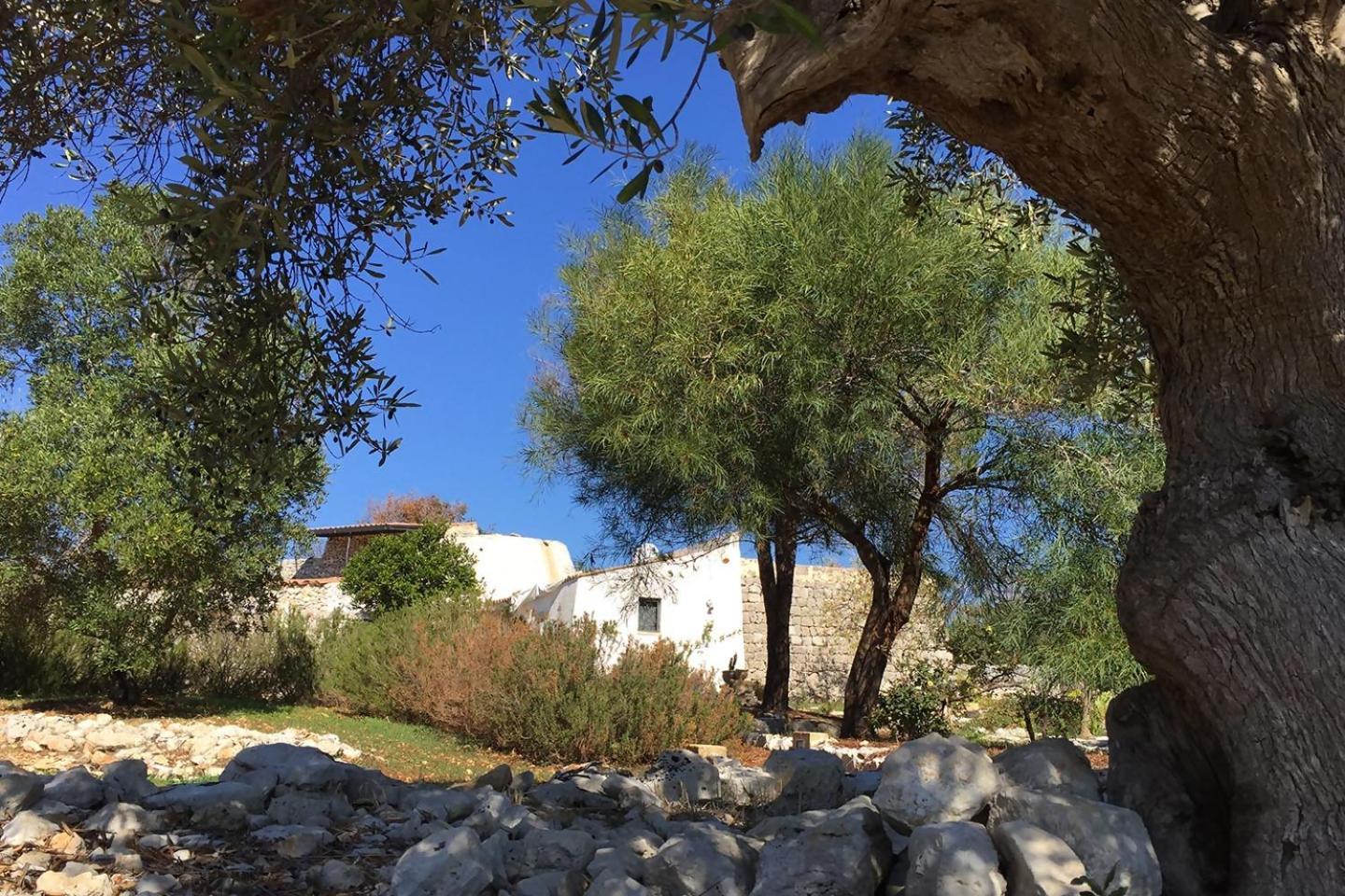 Feudo Pajara Bracchio 2 By Salento Prime Villa Salve Kültér fotó